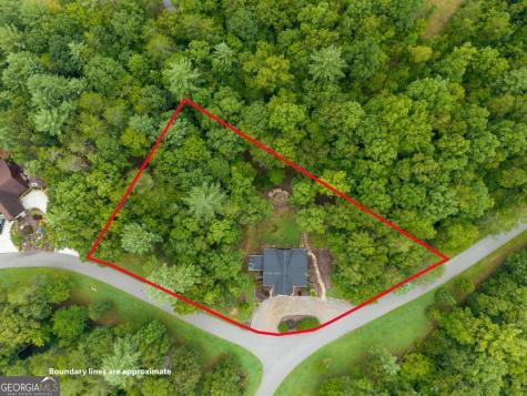 350 Kensington Drive Mineral Bluff GA 30559