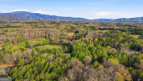 1843 Old Mobile Road Mccaysville GA 30555