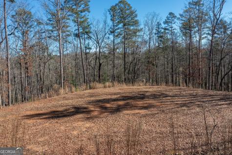 4011 Murphy Highway Mineral Bluff GA 30559