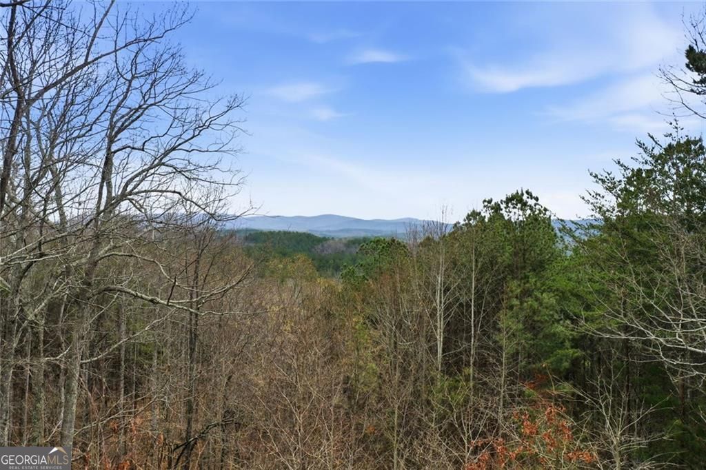980 Cowart Mountain Trail Waleska GA 30183