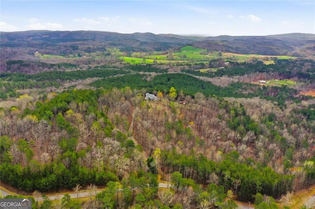 980 Cowart Mountain Trail Waleska GA 30183