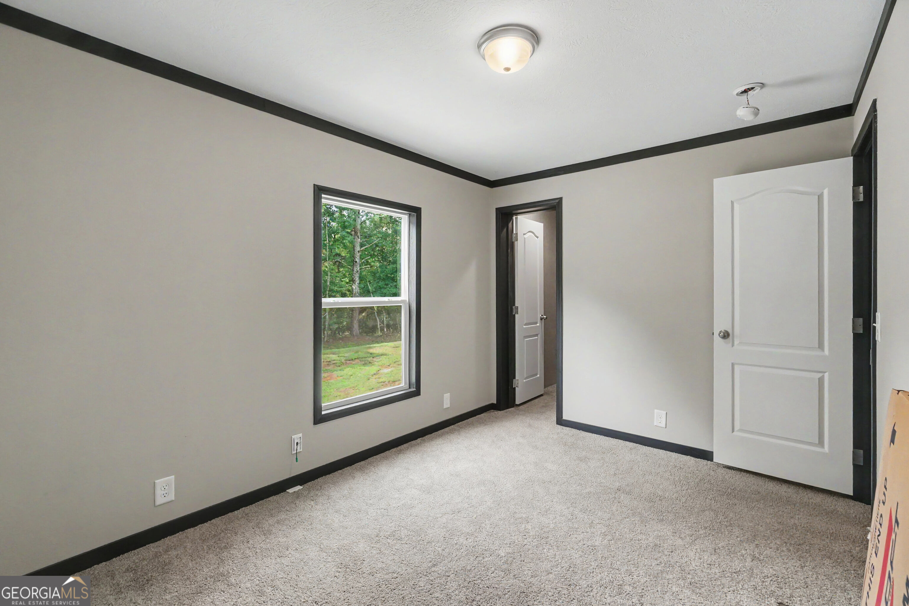 257 Iris Drive Demorest GA 30535