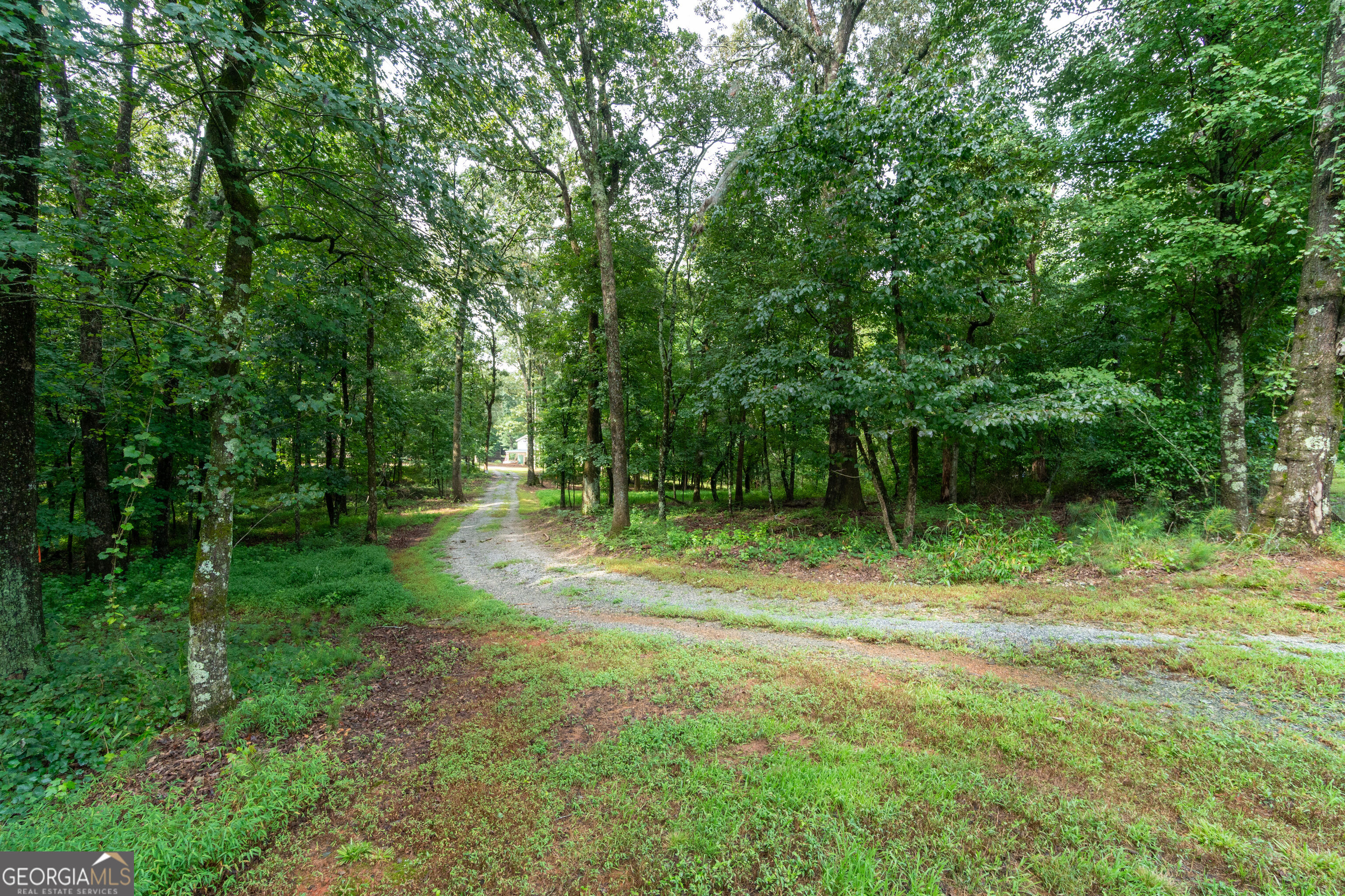257 Iris Drive Demorest GA 30535