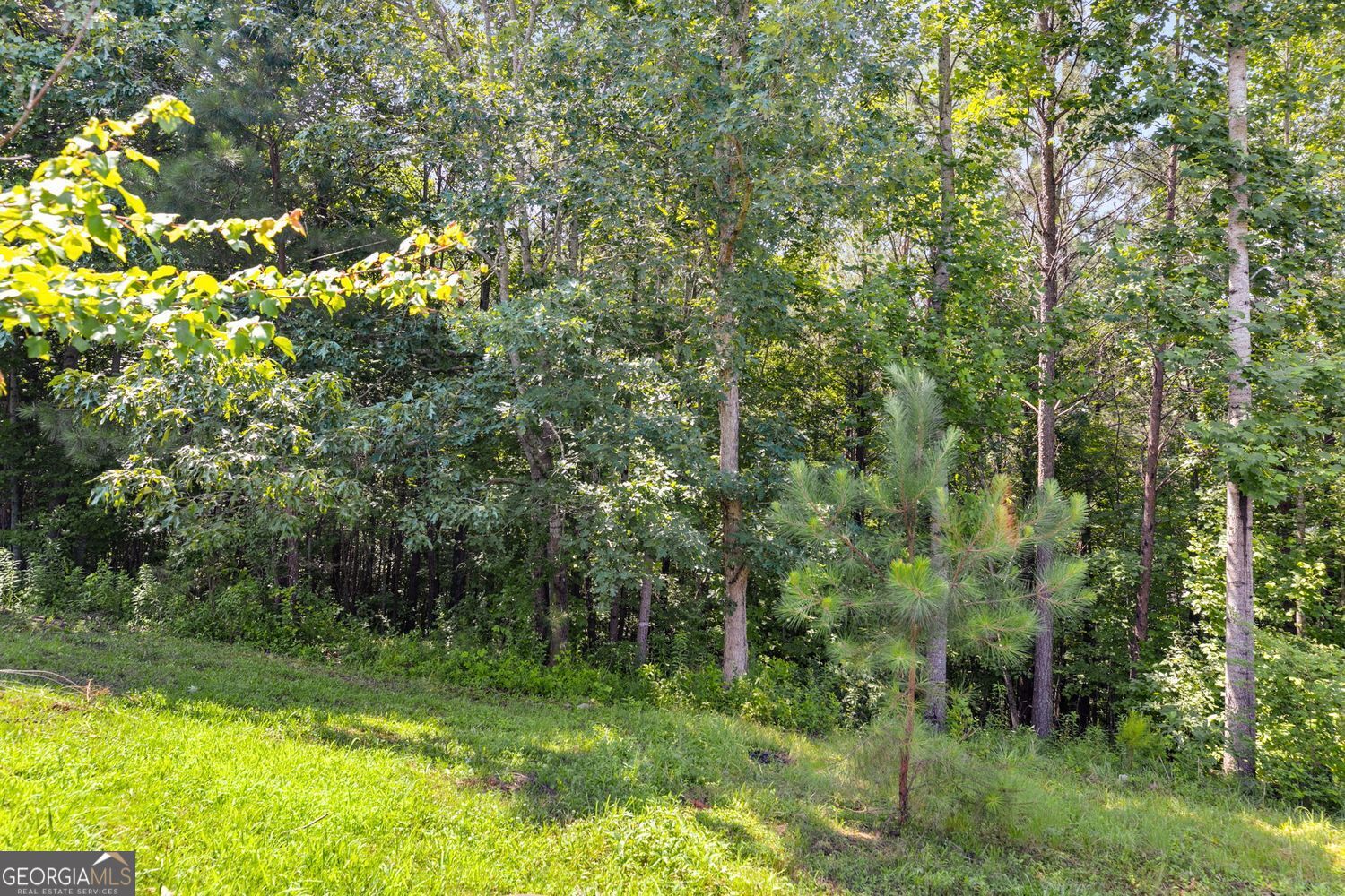 80 Jacob Trail Rockmart GA 30153
