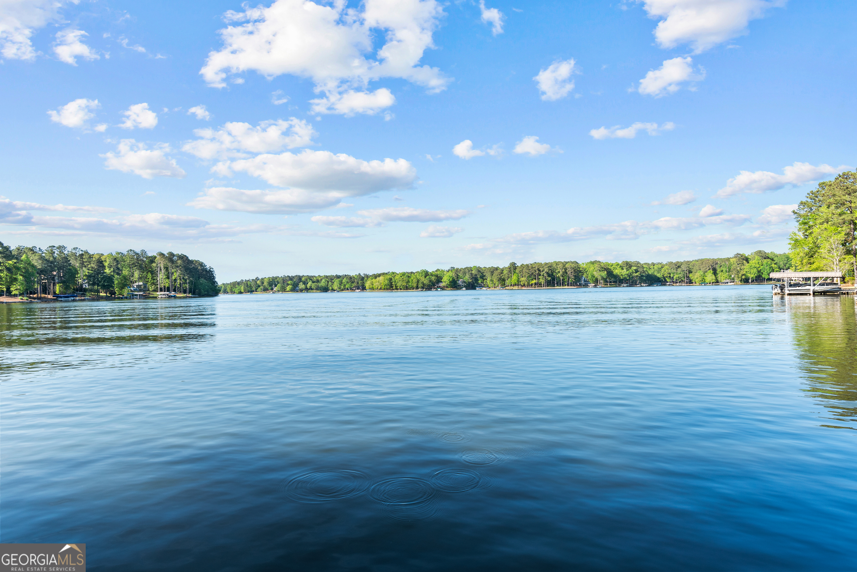 1230 Lake Club Drive Greensboro GA 30642