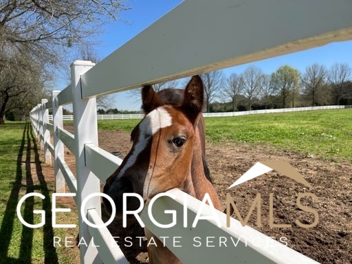 460 Dixie Road Covington GA 30014