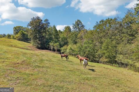 231 Hatfield Grove Dahlonega GA 30533