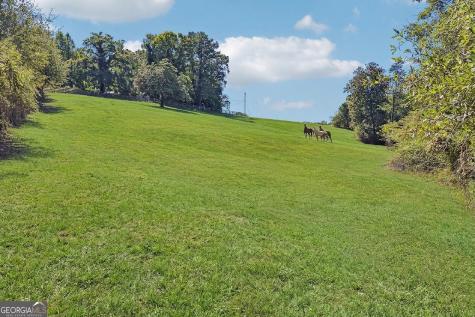 231 Hatfield Grove Dahlonega GA 30533