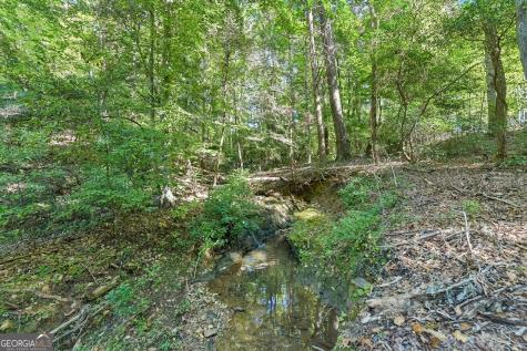 231 Hatfield Grove Dahlonega GA 30533