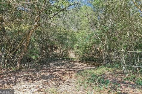 231 Hatfield Grove Dahlonega GA 30533