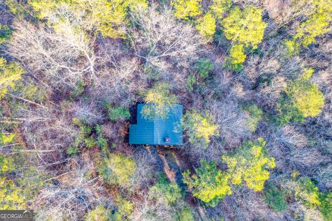 57 Coffee Pot Drive Blue Ridge GA 30513