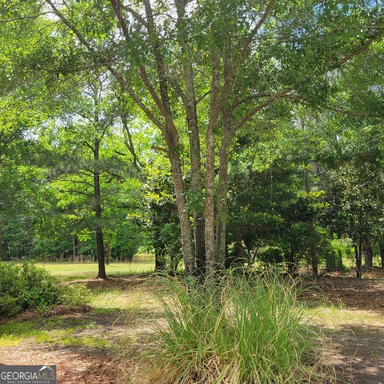 5321 S Highway 15 Siloam GA 30665