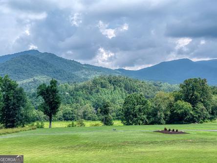 186 Rice Landing Court Hayesville NC 28904