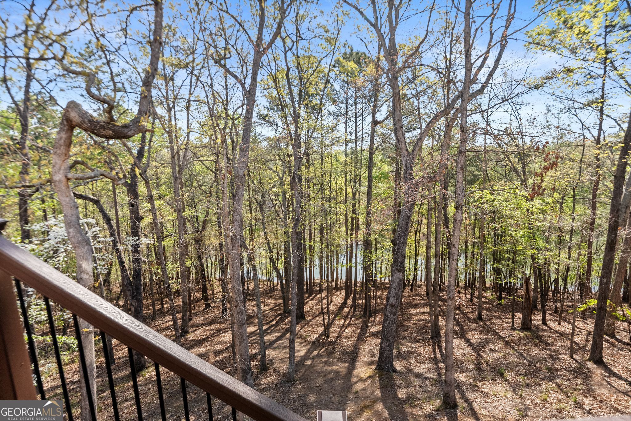 6221 Random Winds Bluff Gainesville GA 30506