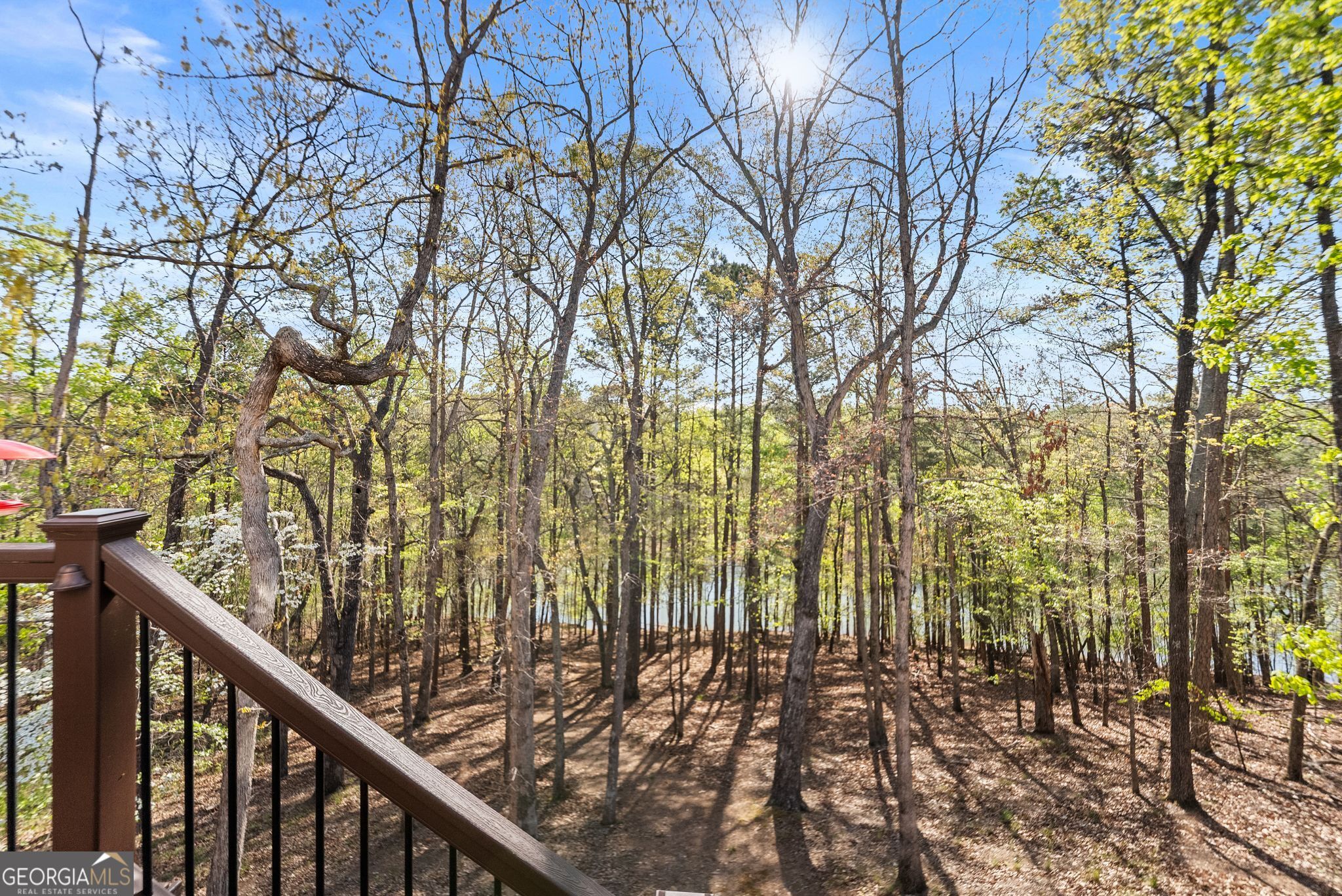 6221 Random Winds Bluff Gainesville GA 30506