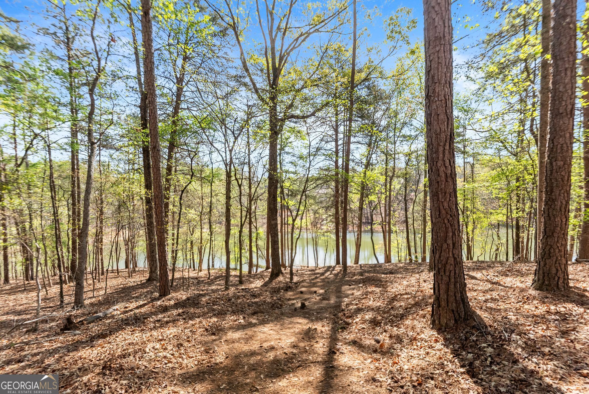 6221 Random Winds Bluff Gainesville GA 30506