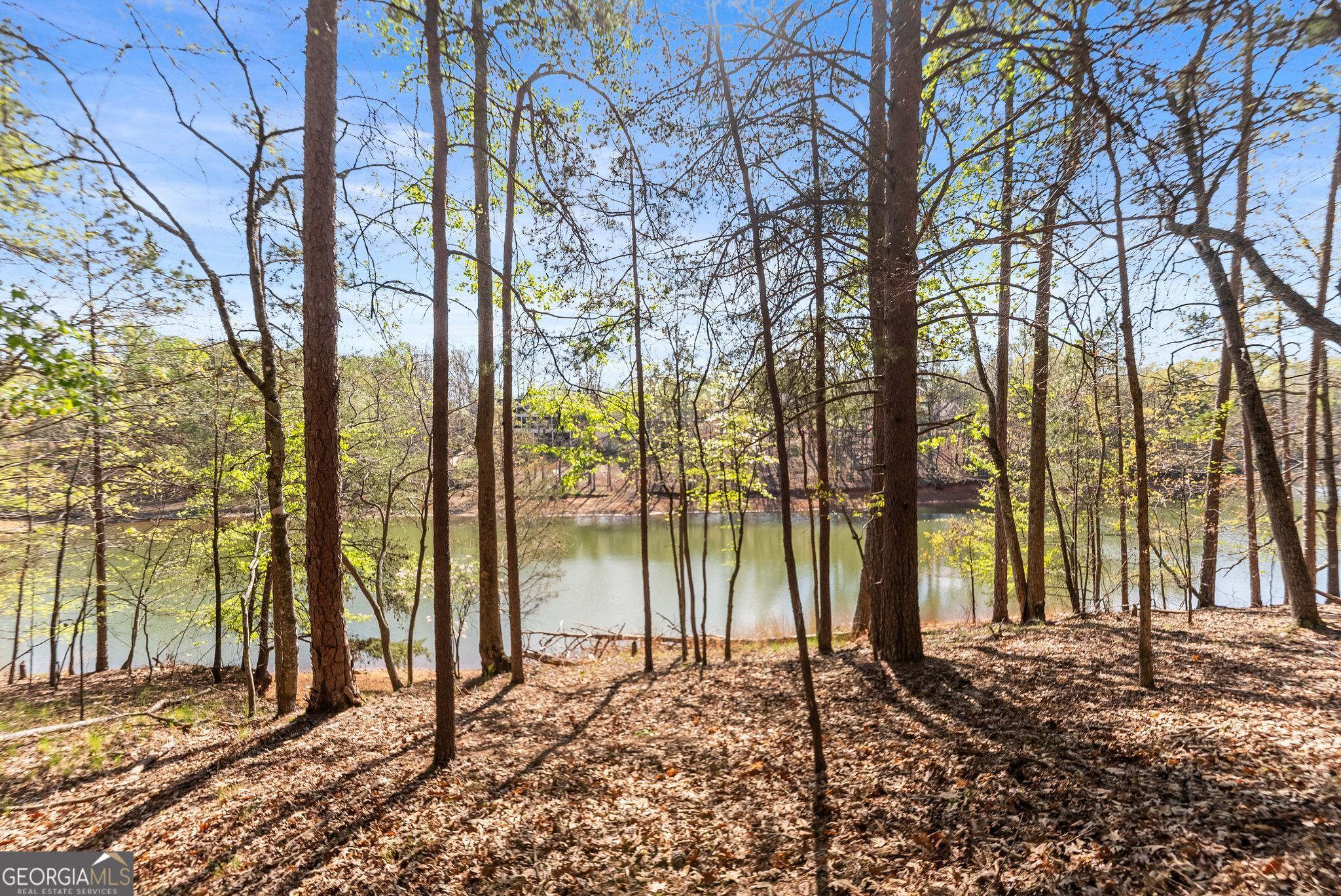 6221 Random Winds Bluff Gainesville GA 30506