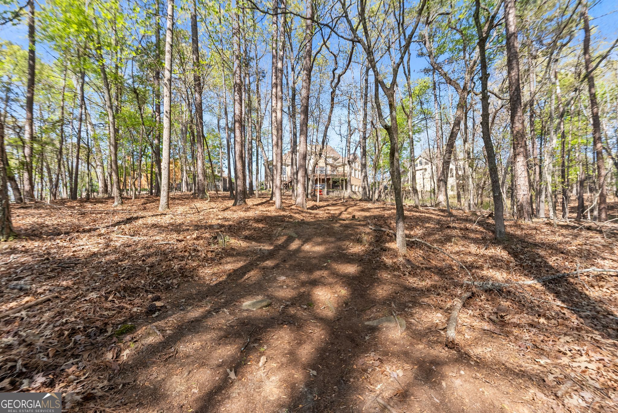 6221 Random Winds Bluff Gainesville GA 30506