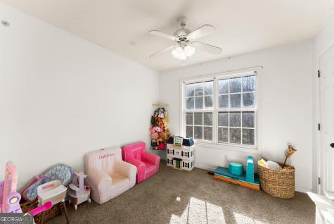 322 Ash Wood Lane Cleveland GA 30528