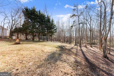 322 Ash Wood Lane Cleveland GA 30528