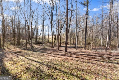 322 Ash Wood Lane Cleveland GA 30528