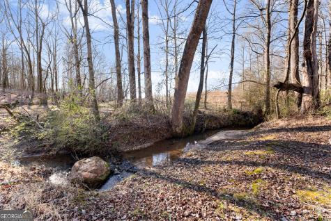 322 Ash Wood Lane Cleveland GA 30528
