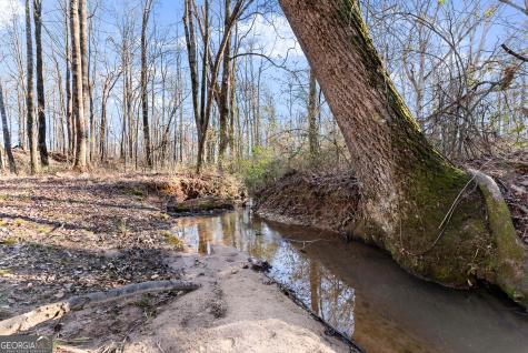 322 Ash Wood Lane Cleveland GA 30528