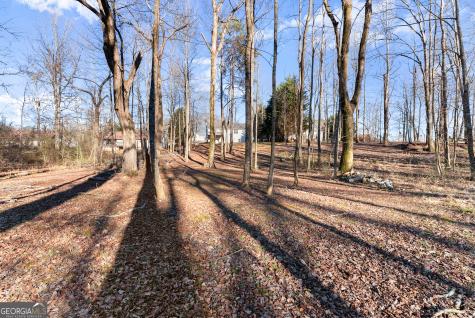 322 Ash Wood Lane Cleveland GA 30528