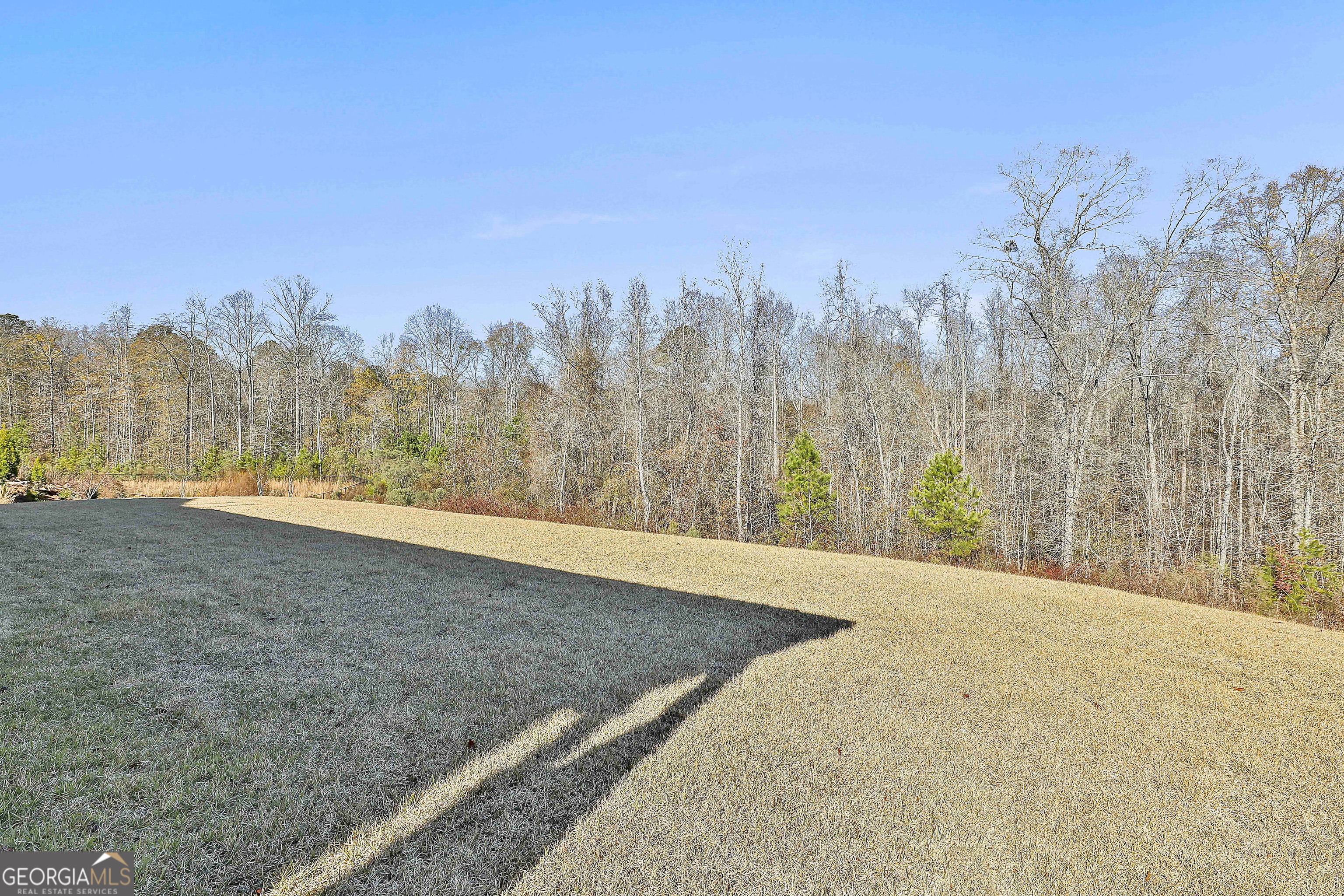 335 Werner Way Senoia GA 30276
