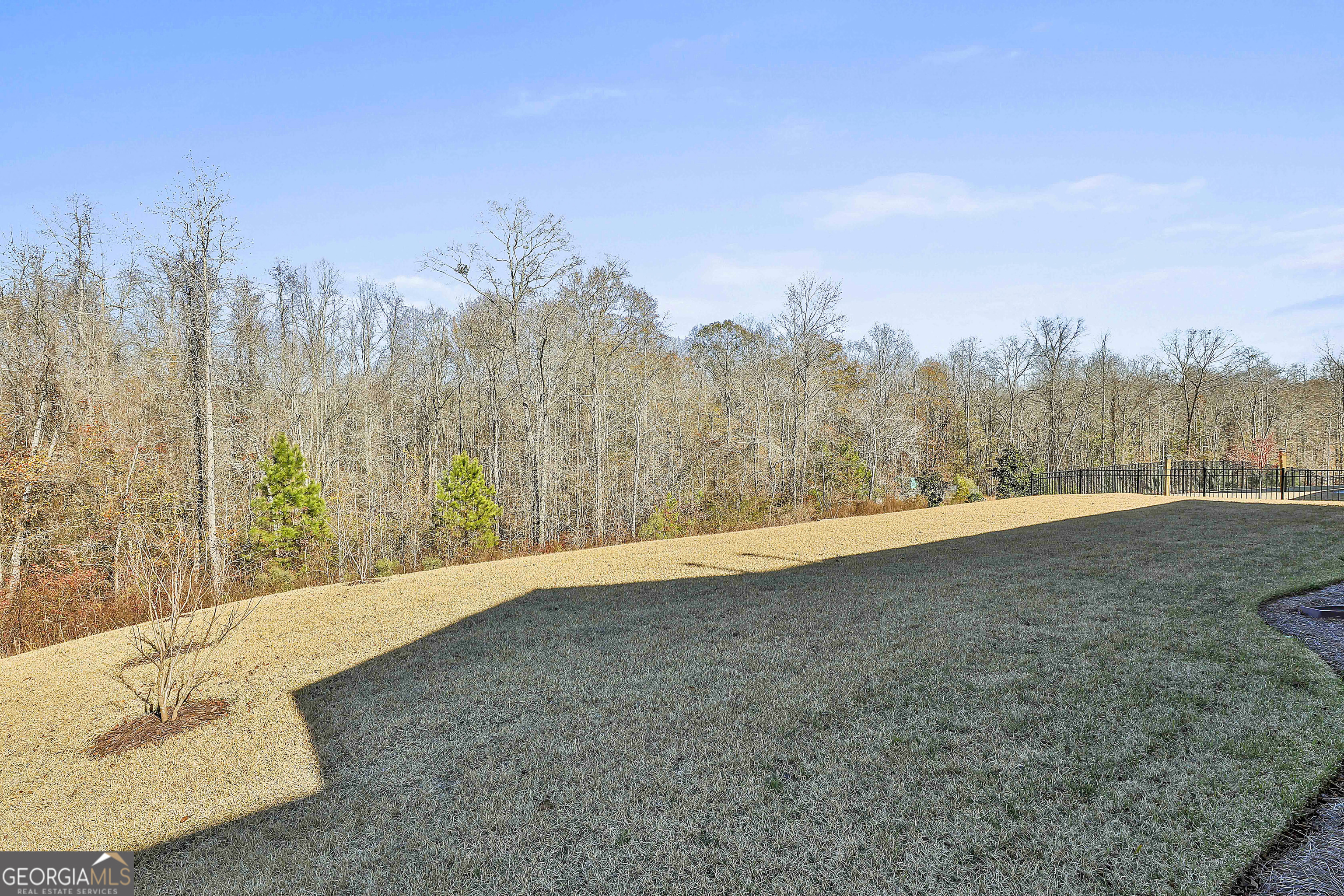 335 Werner Way Senoia GA 30276