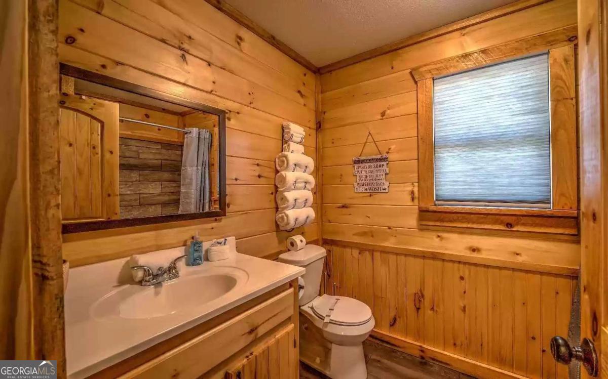 141 Mountain Rivers Road Mineral Bluff GA 30559