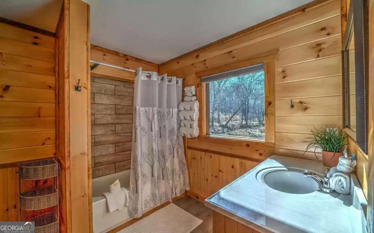 141 Mountain Rivers Road Mineral Bluff GA 30559