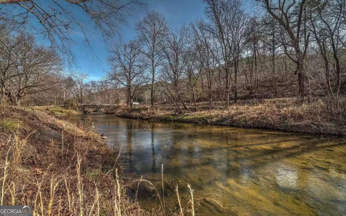 141 Mountain Rivers Road Mineral Bluff GA 30559