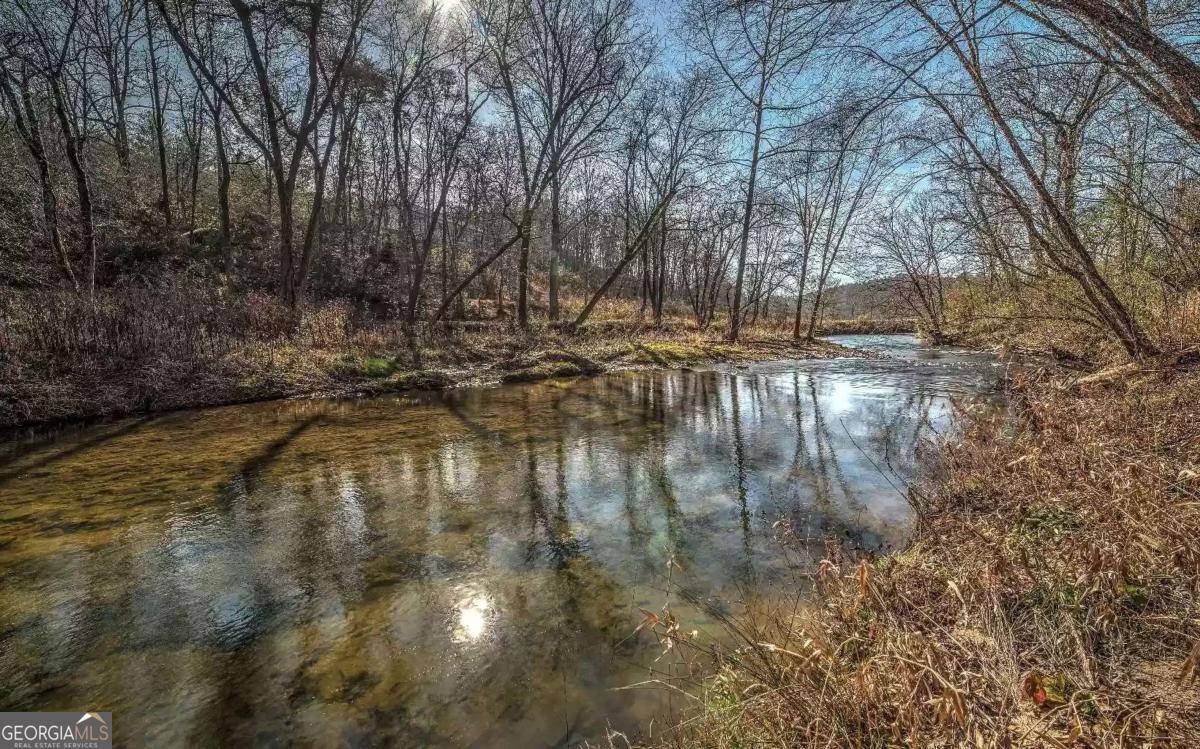 141 Mountain Rivers Road Mineral Bluff GA 30559