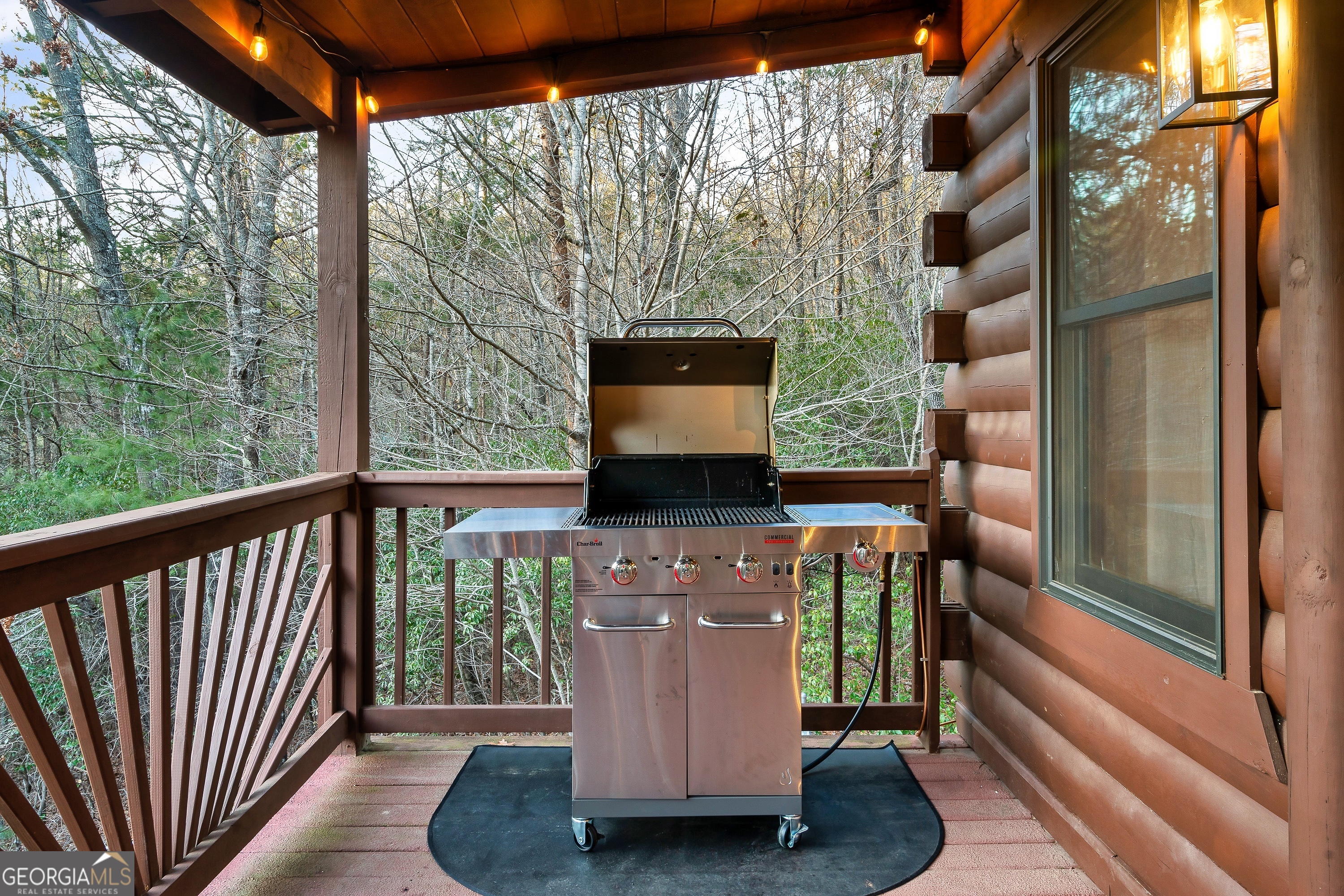 239 Ernest Alta Circle Blue Ridge GA 30513