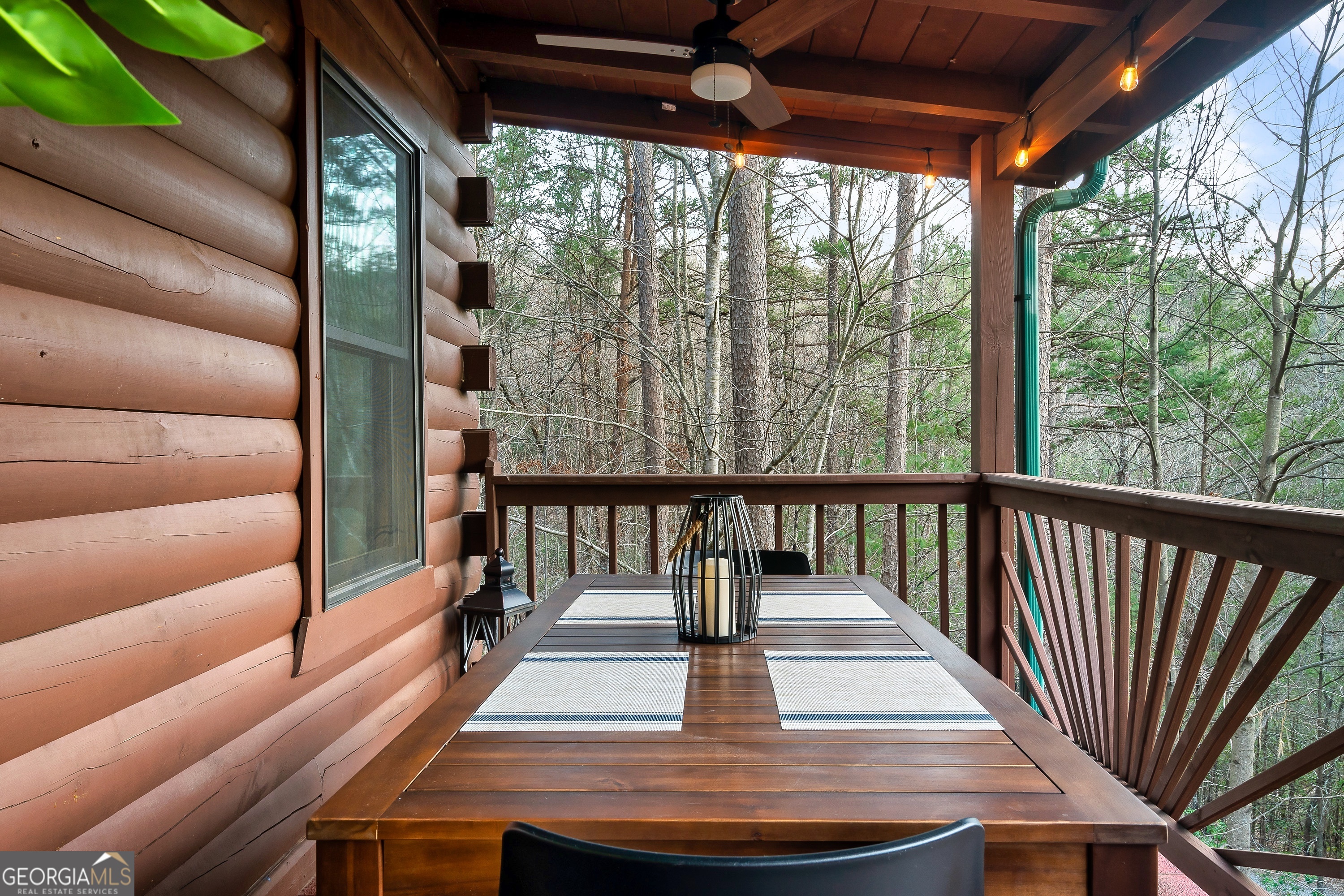 239 Ernest Alta Circle Blue Ridge GA 30513