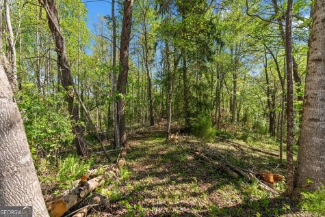 153 Trackrock Gap Road Blairsville GA 30512
