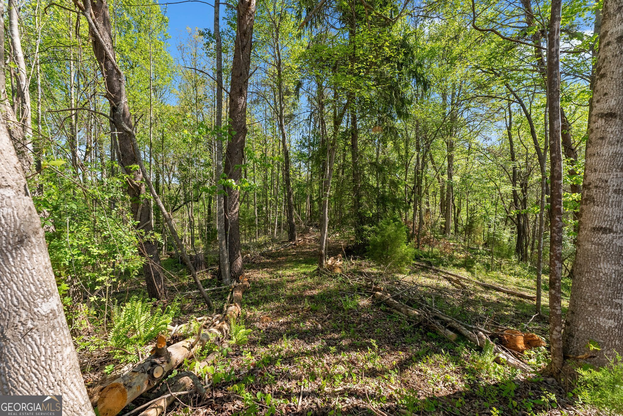 153 Trackrock Gap Road Blairsville GA 30512