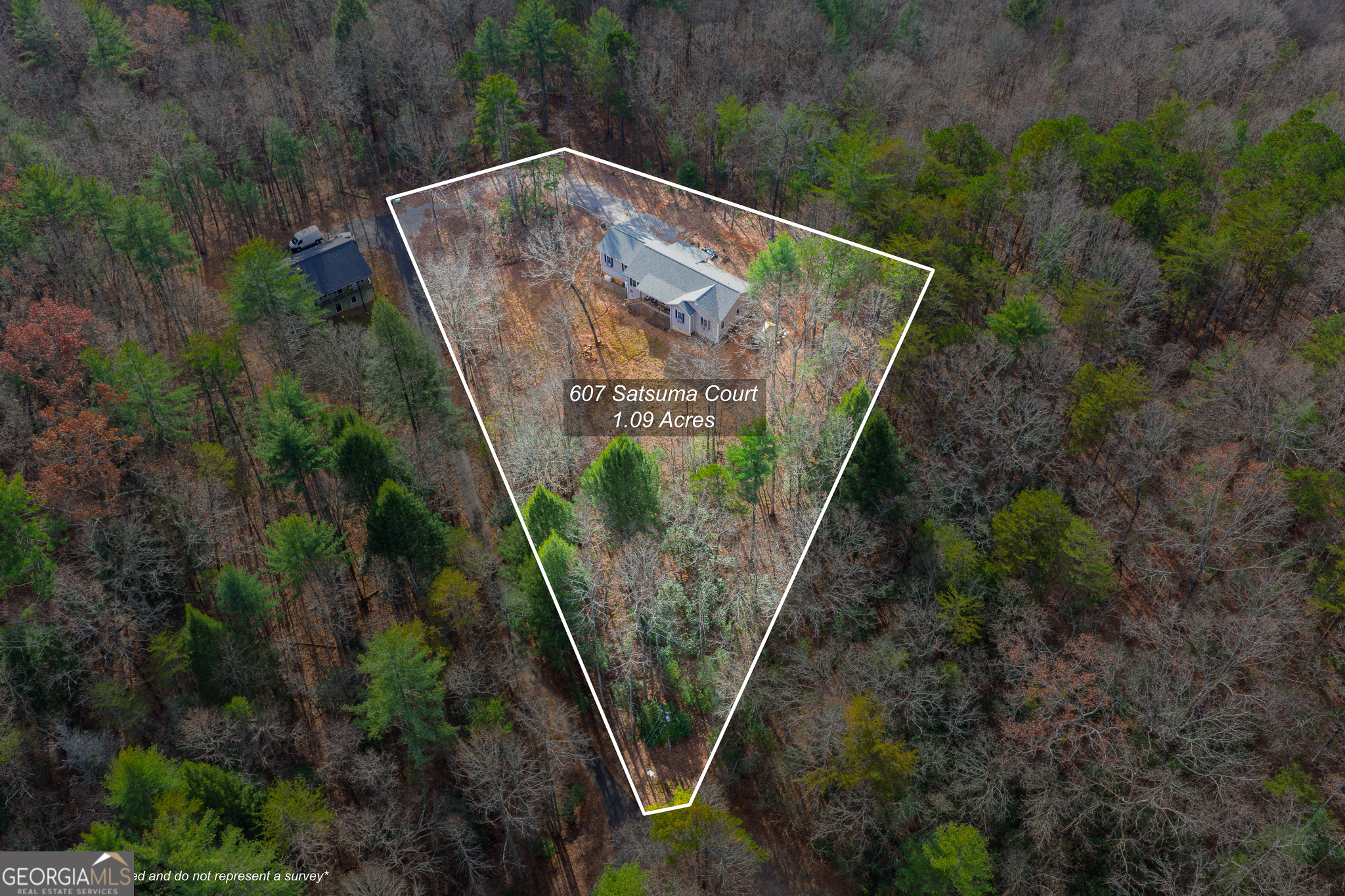 607 Satsuma Court S Ellijay GA 30536