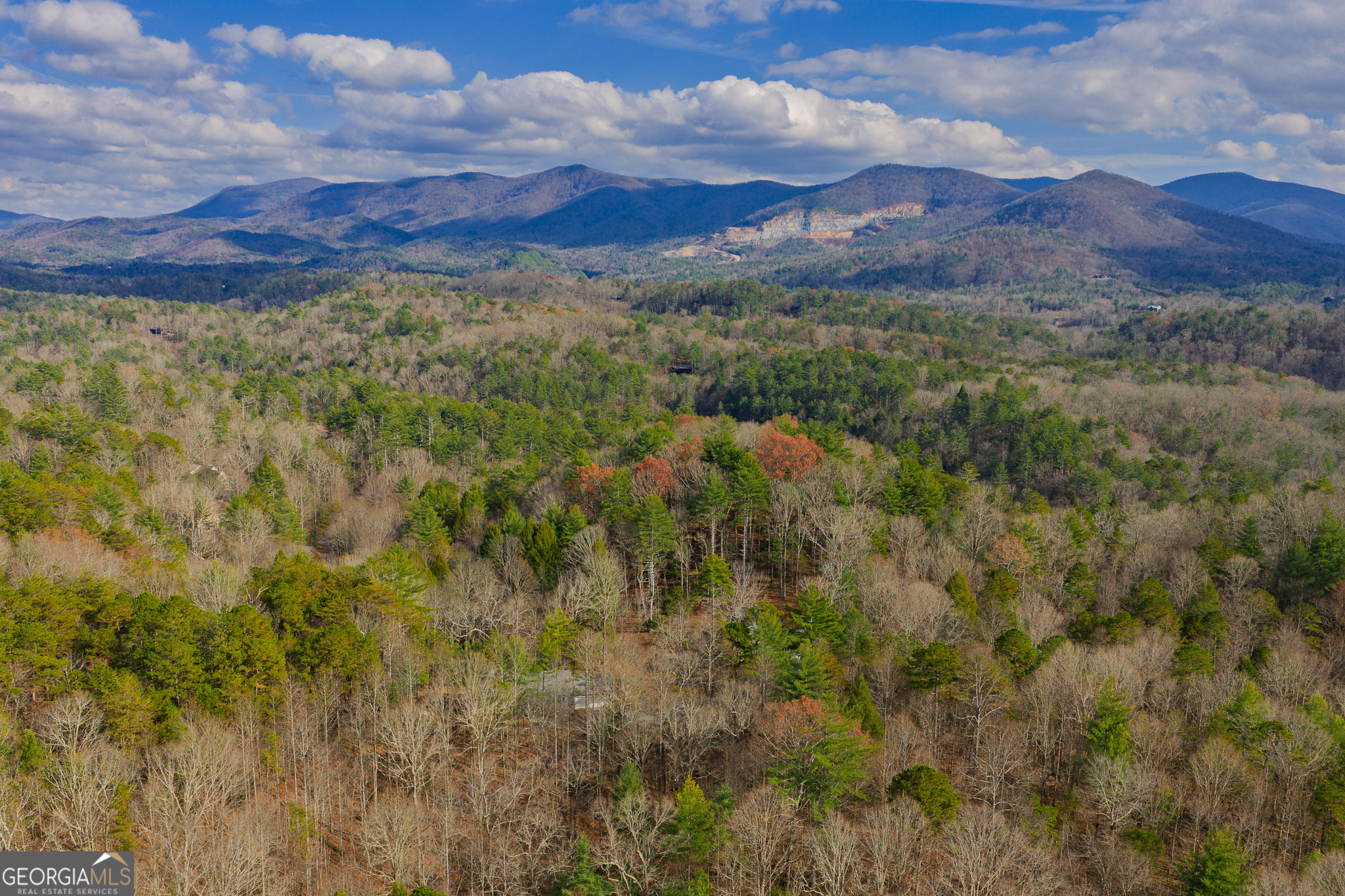607 Satsuma Court S Ellijay GA 30536
