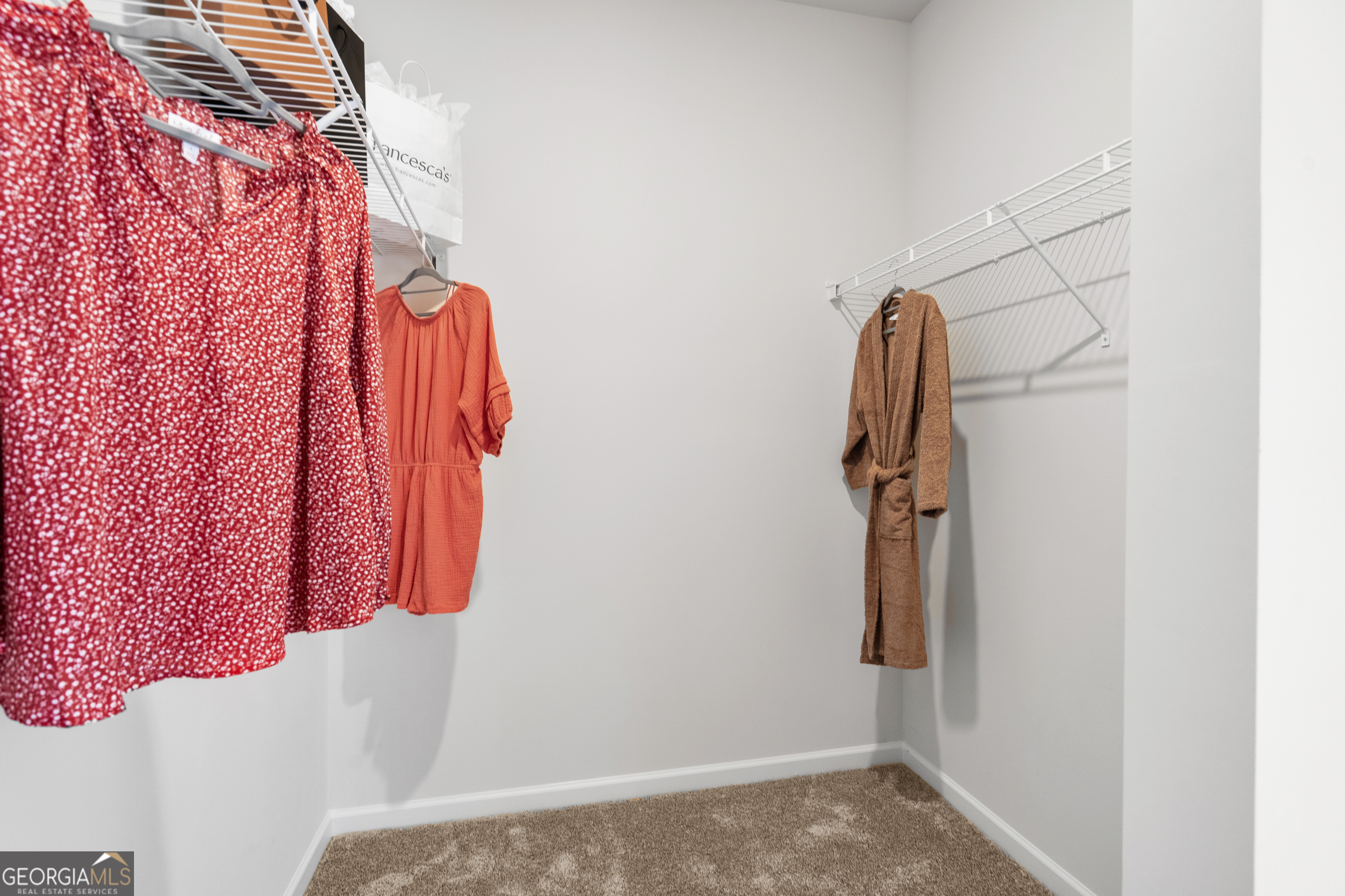 1409 Trellis Court Hampton GA 30228