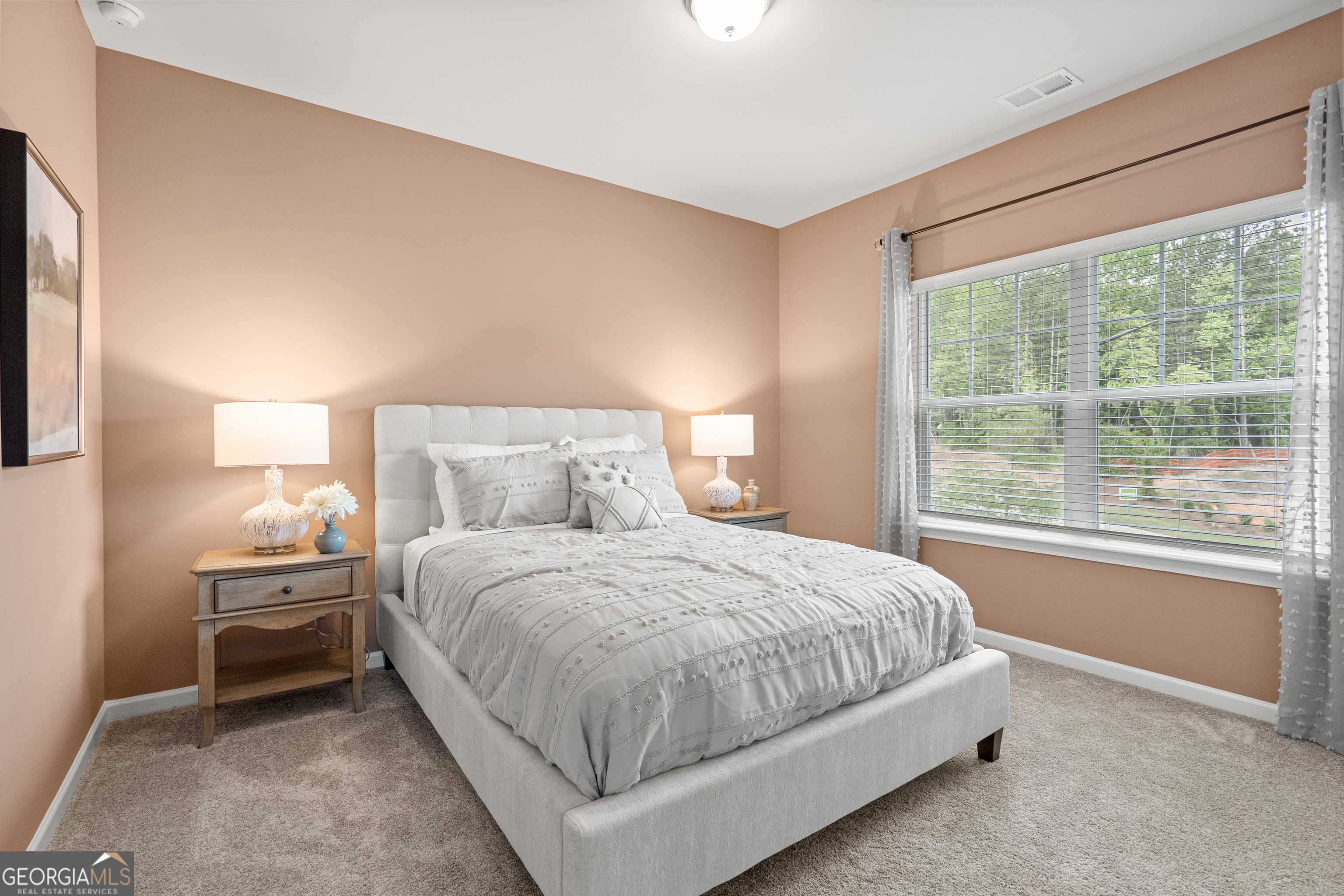 1409 Trellis Court Hampton GA 30228