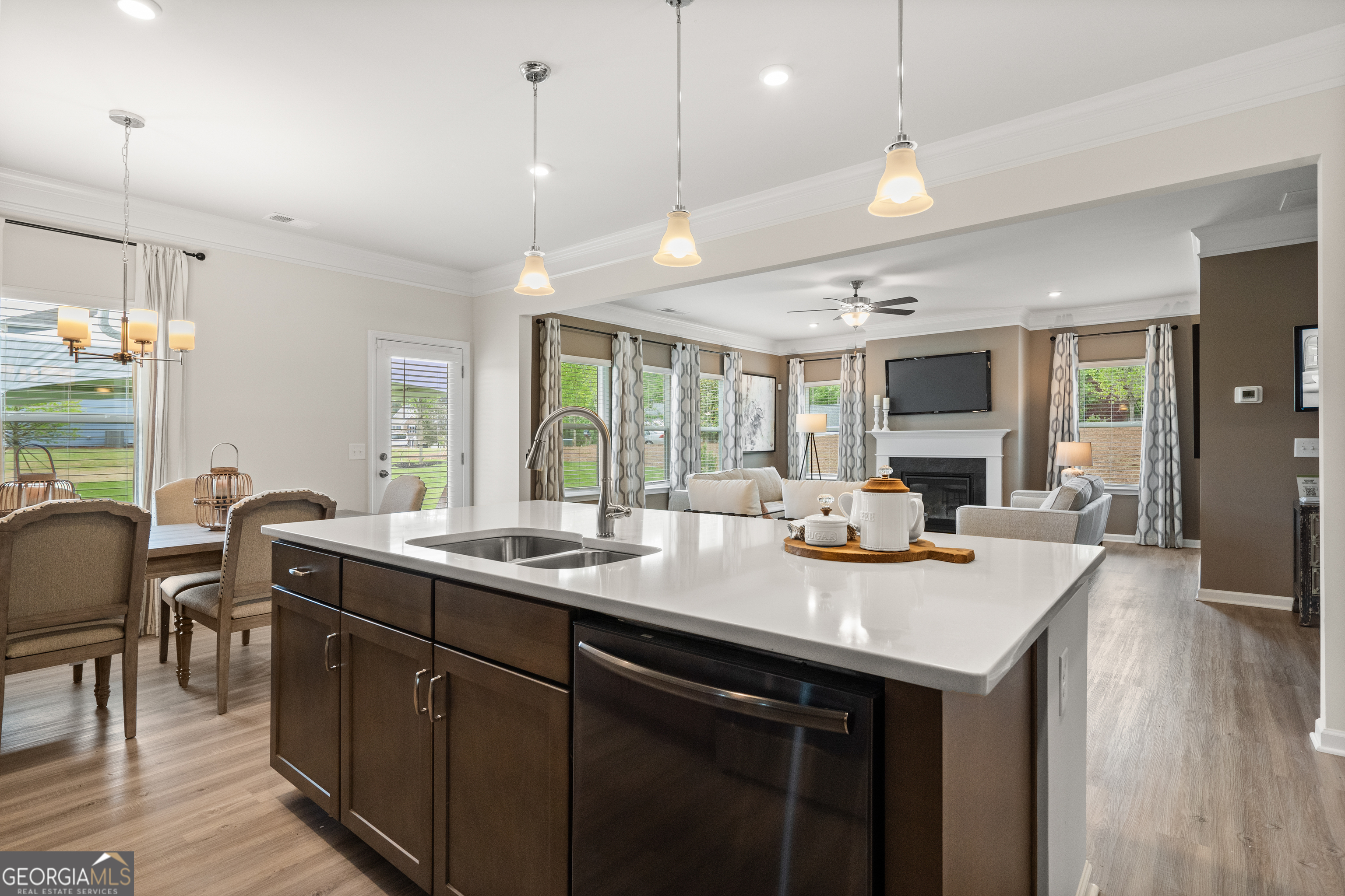 1409 Trellis Court Hampton GA 30228