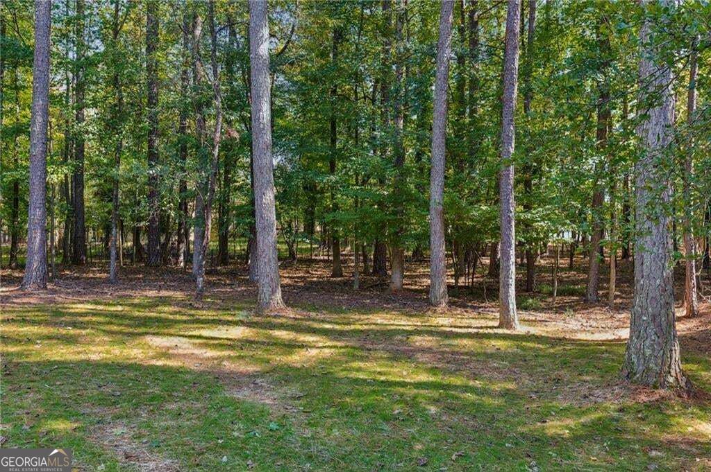 107 Emerald Cove Drive Woodstock GA 30189