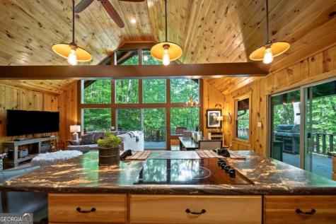 469 North Lake Drive Ellijay GA 30536