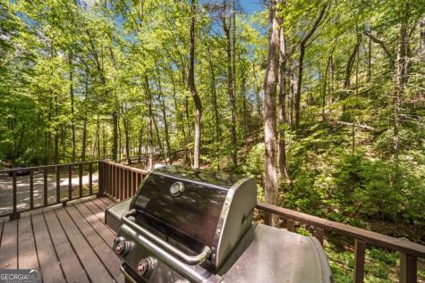 469 North Lake Drive Ellijay GA 30536