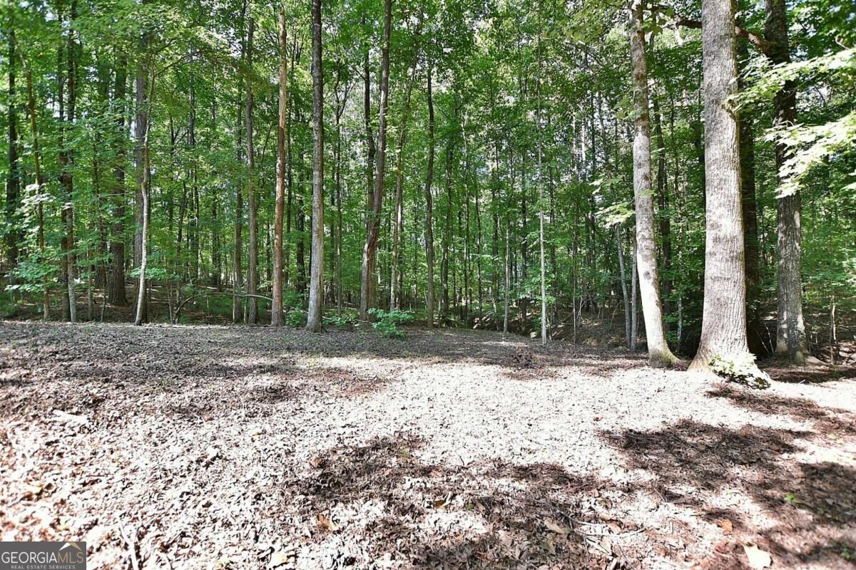 1439 Plantation Creek Fortson GA 31808