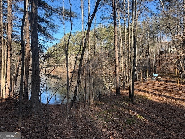 609 Old Mccoy Place Waleska GA 30183