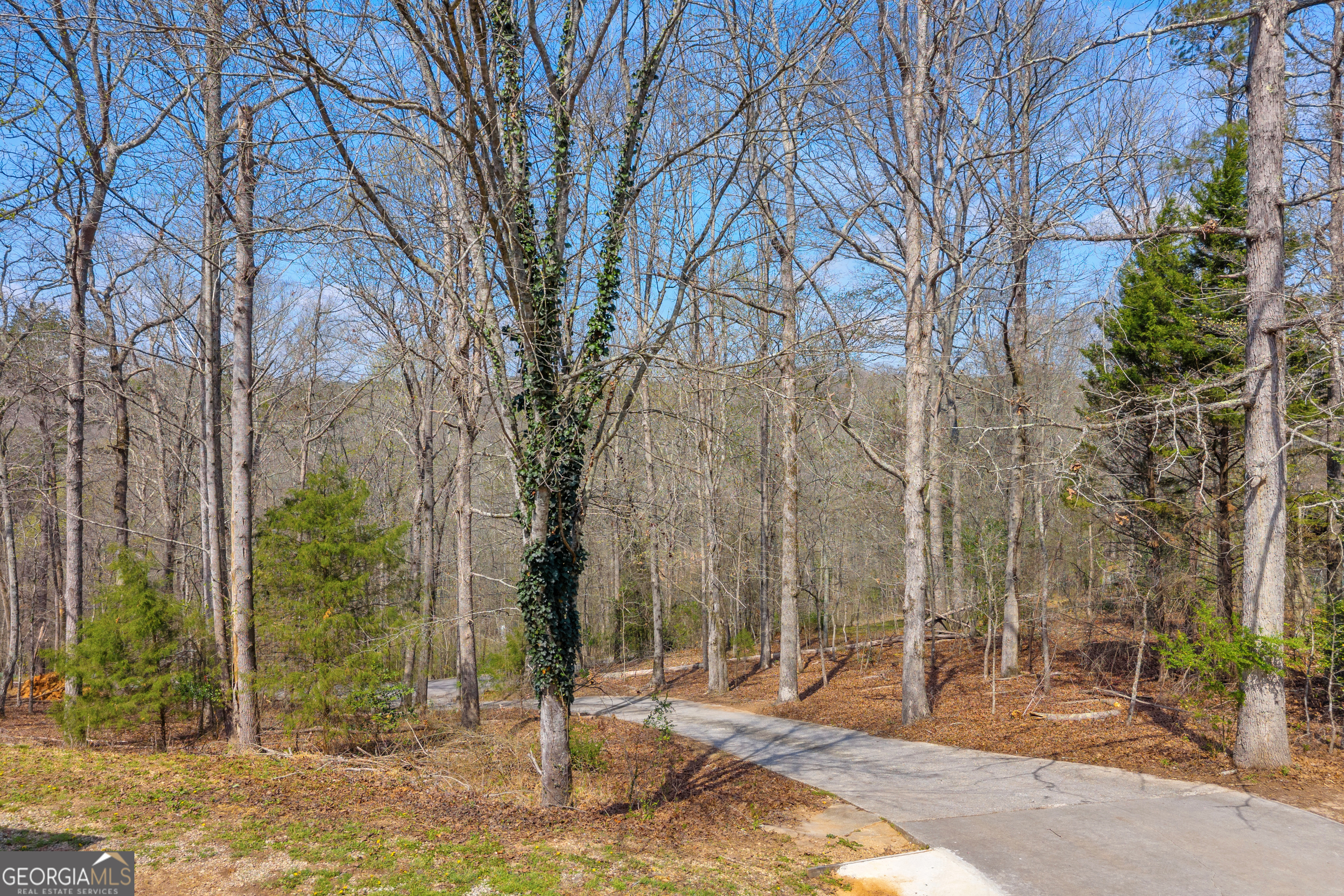 234 Old River Road Cornelia GA 30531
