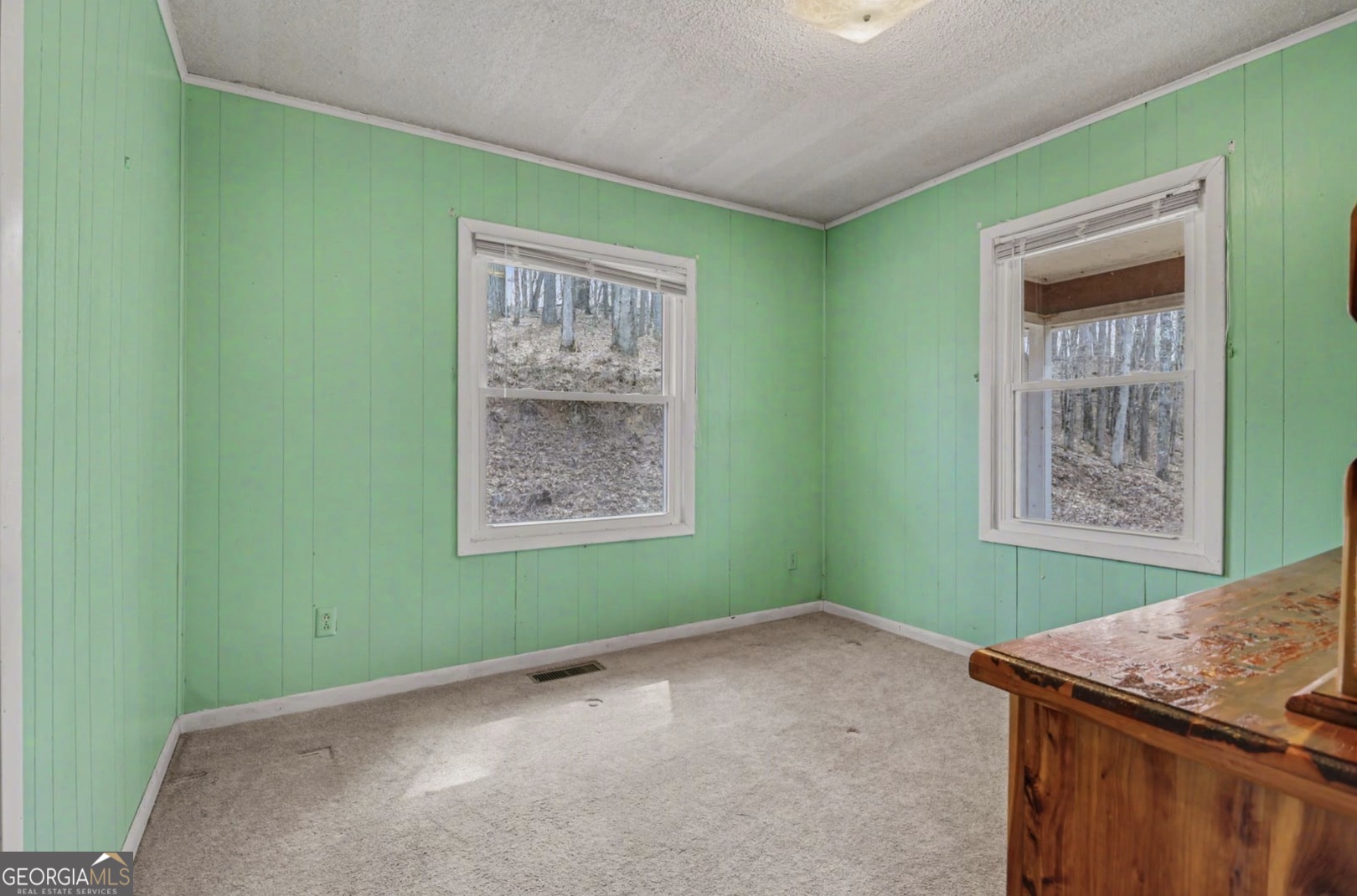5077 Ada Street Blue Ridge GA 30513